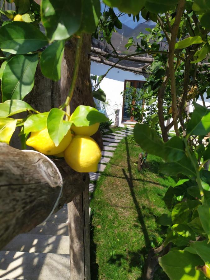 Вилла Casa Mia Скала Экстерьер фото
