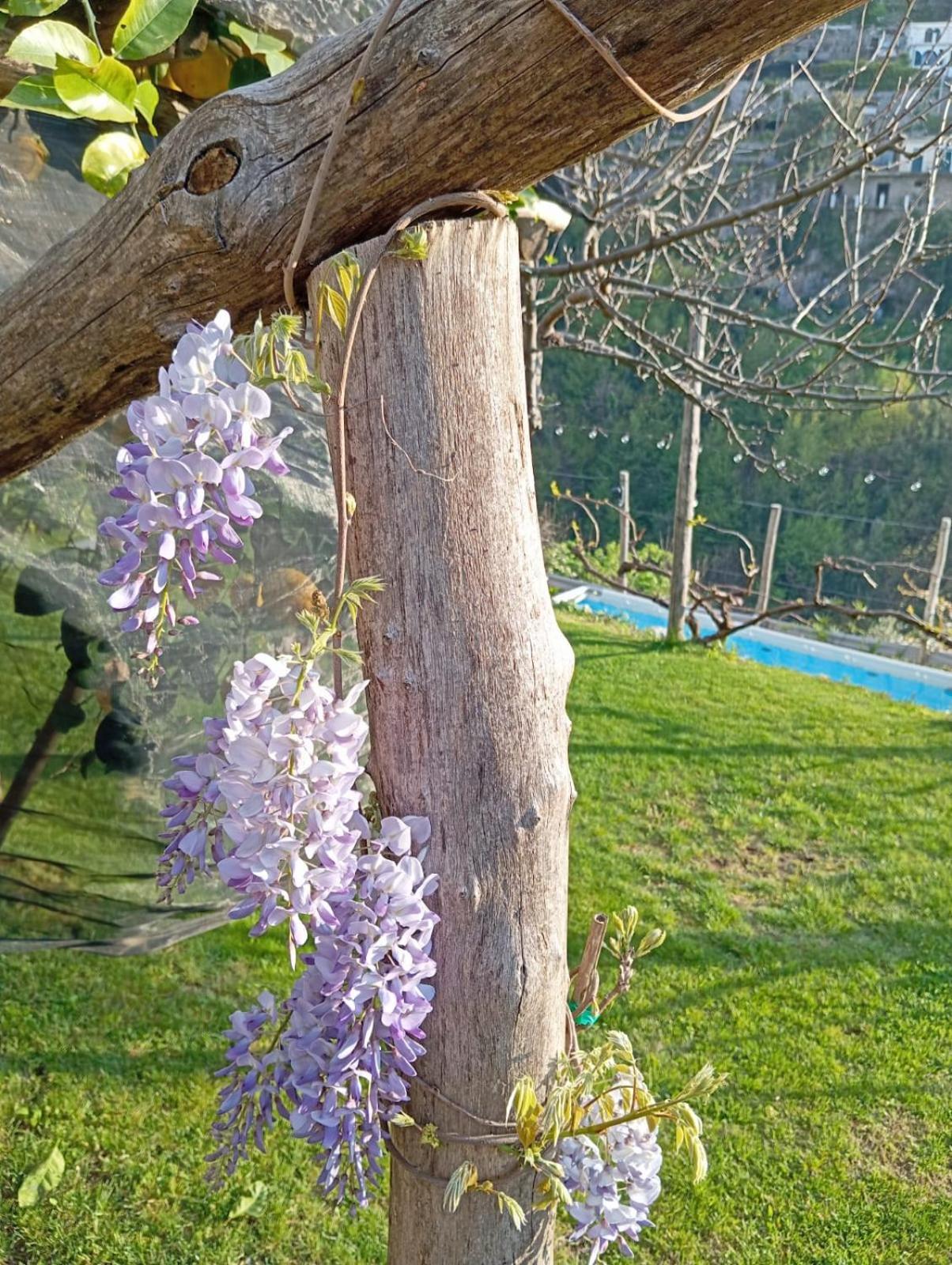 Вилла Casa Mia Скала Экстерьер фото